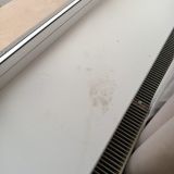 Гостевой дом, фото гостя