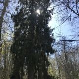 База отдыха Пушкиногорье, фото гостя