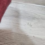 Отель Изумруд, фото гостя