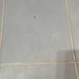 Отель Крым-Дрим, фото гостя