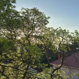 Отель Крым-Дрим, фото гостя