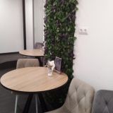 Отель Трио, фото гостя