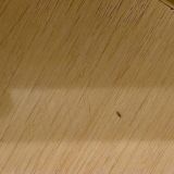 Отель Dvor'ы, фото гостя