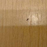 Отель Dvor'ы, фото гостя