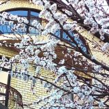 Гостевой дом Марити, фото гостя