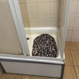 Отель Афиша Сити, фото гостя