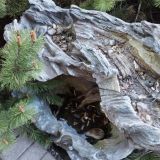 Гостевой дом Усадьба Роза Мария, фото гостя