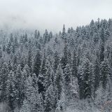 МИРРОС Субай Отель Домбай, фото гостя