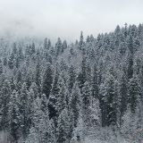 Домбай, фото отдыхающего в апреле