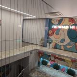 Гостиница На Цветном, фото гостя