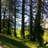 Сочи, фото отдыхающего в апреле