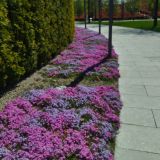 Краснодар, фото отдыхающего в апреле