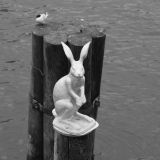 Санкт-Петербург, фото отдыхающего в апреле