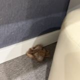 Броско Отель Арбат, фото гостя