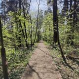 Санаторий Переделкино, фото гостя