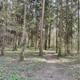 Санаторий Переделкино, фото гостя