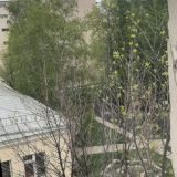 Квартира LuxKV-Воротниковский переулок 10с3, фото гостя