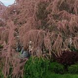 Отель Сочи на Курортном проспекте, фото гостя
