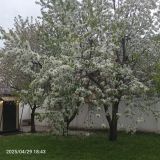 Гостевой дом Центральная Усадьба, фото гостя