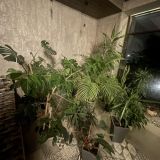 Гостевой дом Тверской, фото гостя