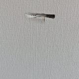 Хостел Кузен, фото гостя