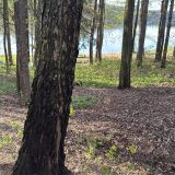 Гостевой дом Истра, фото гостя