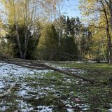 Гостевой дом Истра, фото гостя