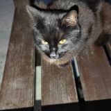 Арт-отель Вернисаж, фото гостя