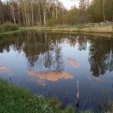 Гостиница Поместье Загосье, фото гостя