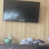 Гостиница Marton PALACE, фото гостя