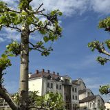 Гостиница Амстердам, фото гостя