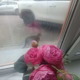 Апарт-отель Тучков мост, фото гостя