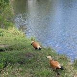 Загородный отель Тропикана Парк, фото гостя