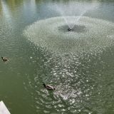 Загородный отель Тропикана Парк, фото гостя