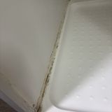 Душевая в плесени ! 