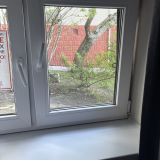 Оконце на уровне земли, ходят кисы у окна! 