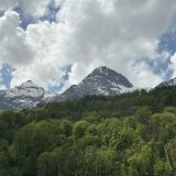 Отель Astra de Rosa, фото гостя