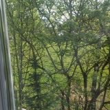 Гостиница СКА, фото гостя