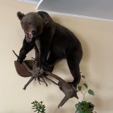 Гостиница Золотой Ручей, фото гостя