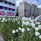 Москва, фото отдыхающего в мае