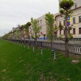 Отель Булак, фото гостя