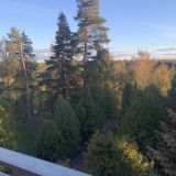 Санаторий Кстово, фото гостя