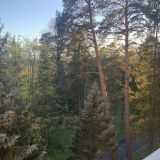 Санаторий Кстово, фото гостя