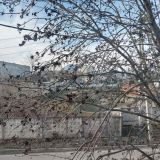 Мини-отель Теплый стан, фото гостя