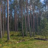 База отдыха Тридевятое царство, фото гостя