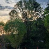 Гостевой дом Гранат by Sun City Hotels, фото гостя