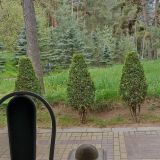 Санаторий Орион, фото гостя