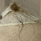 Гостиница Мирит, фото гостя