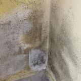 Гостиница Мирит, фото гостя