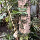 Гостиница Вознесенская, фото гостя